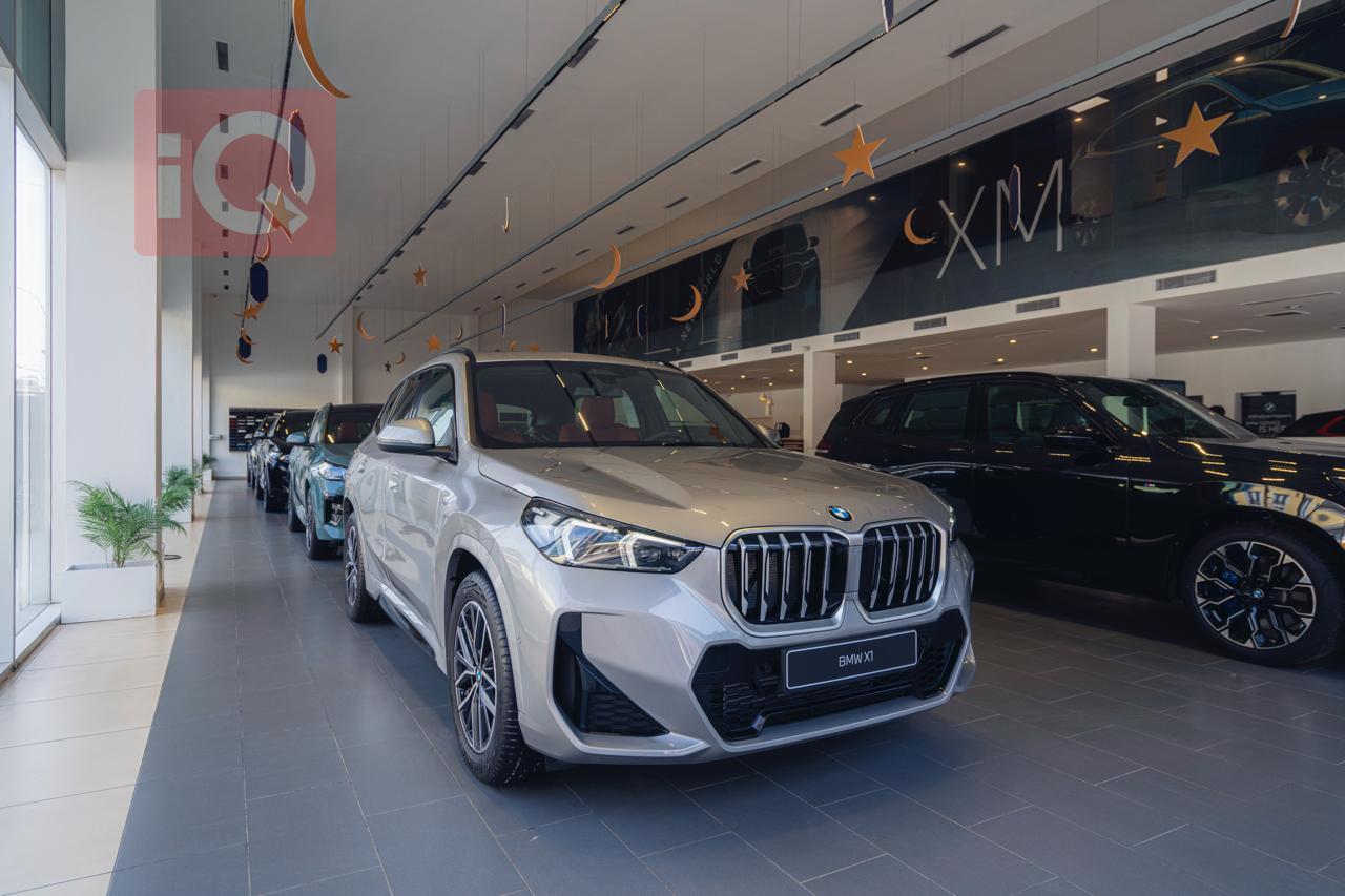 بی ئێم دەبڵیو X1